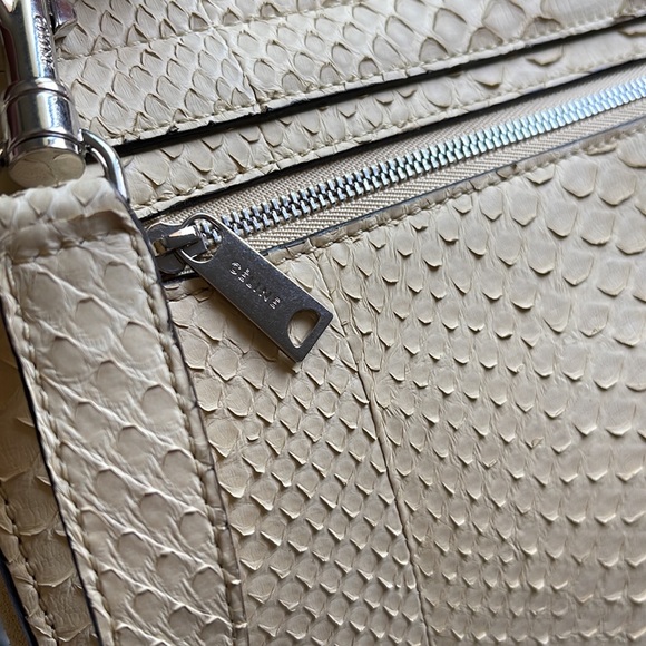 Celine Trapeze Python - Picture 7 of 12